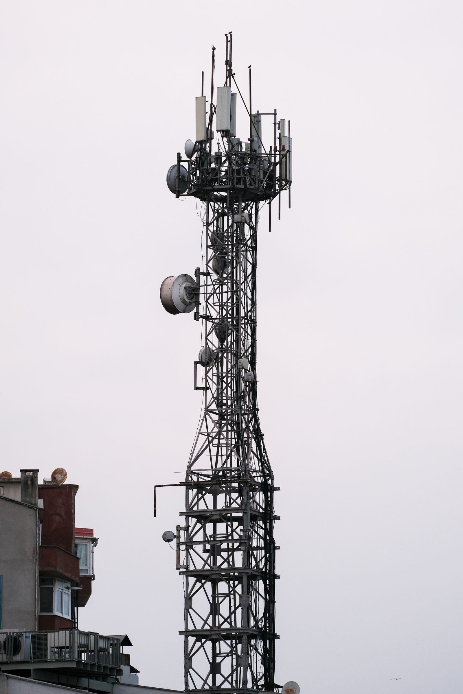 Torre de telecomunicações em treliça, com antenas e parabólicas, contra um céu claro ao lado de um edifício.