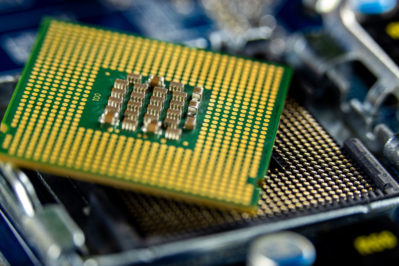 Close de um processador de computador com pinos dourados sobre o soquete de uma placa-mãe.